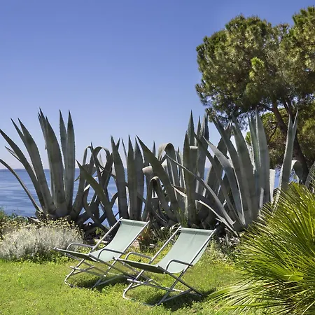 Agave With View Apartment